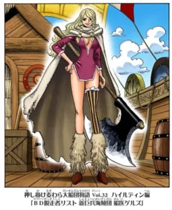 ワンピース 新巨兵海賊団 船医ゲルズ