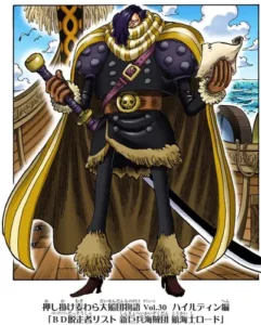 ワンピース 新巨兵海賊団 航海士ロード